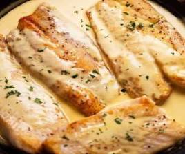 Grouper fillet with wine sauce